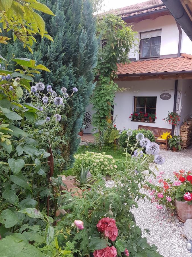 Gastezimmer Nahe Wesslinger See Екстериор снимка